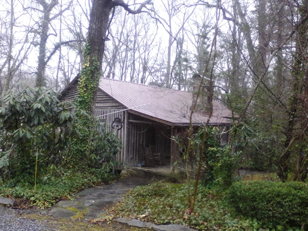 Weathered metal roof on an old board sided cabin in the woods in Newport